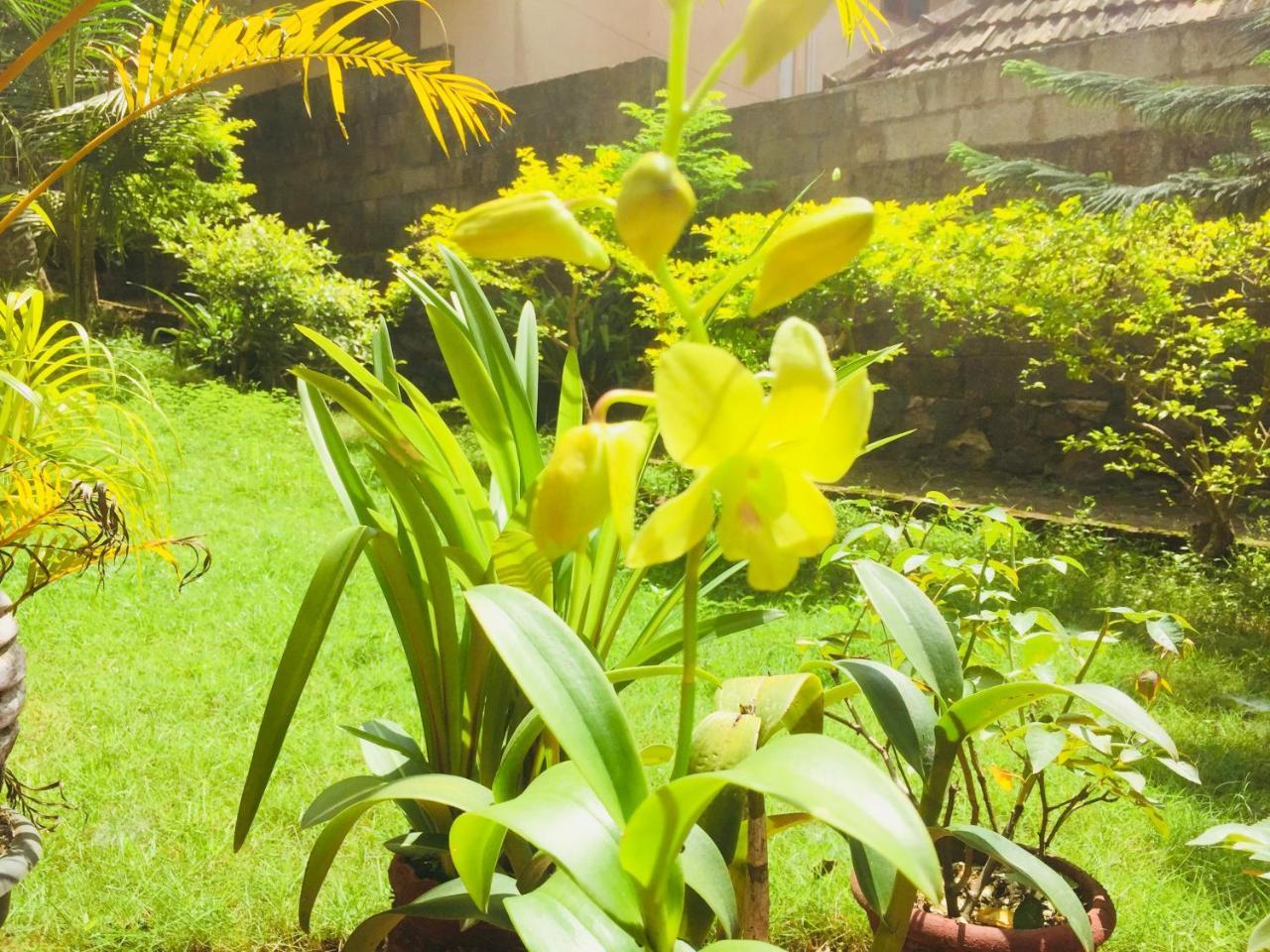 Ganesh House Homestay Kovalam Eksteriør bilde